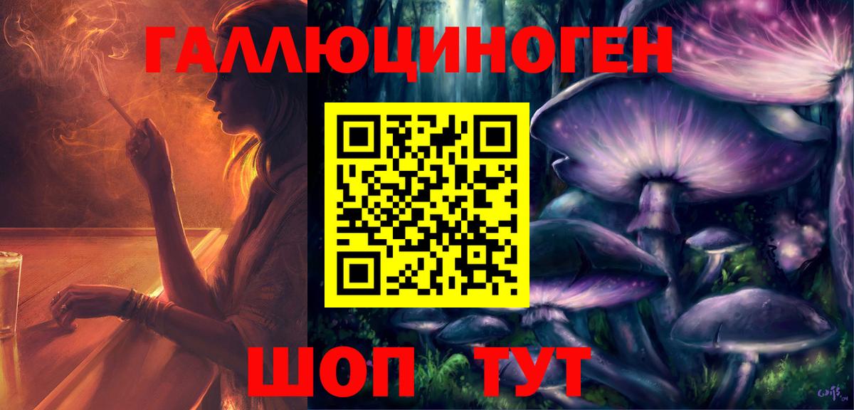 Галлюциногенные грибы Psilocybine cubensis Брянск
