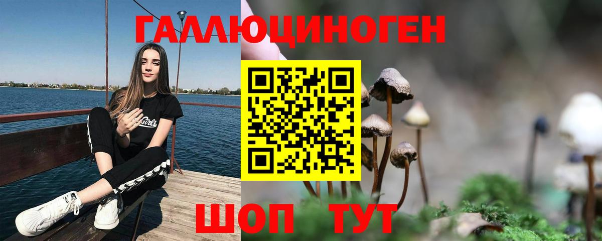 как найти закладки  Вход с VPN  Брянск  Галлюциногенные грибы Psilocybine cubensis  Псилоцибиновые грибы мицелий 